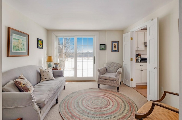 living room featuring light carpet