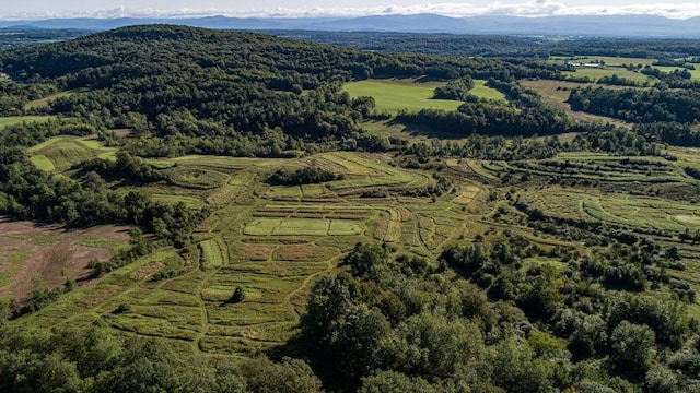 birds eye view of property featuring a mountain view and a wooded view