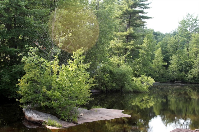 exterior space featuring a water view and a view of trees