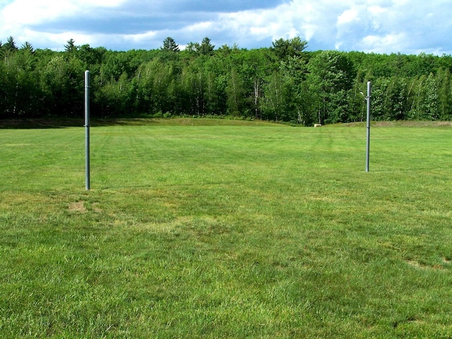 view of yard with a view of trees