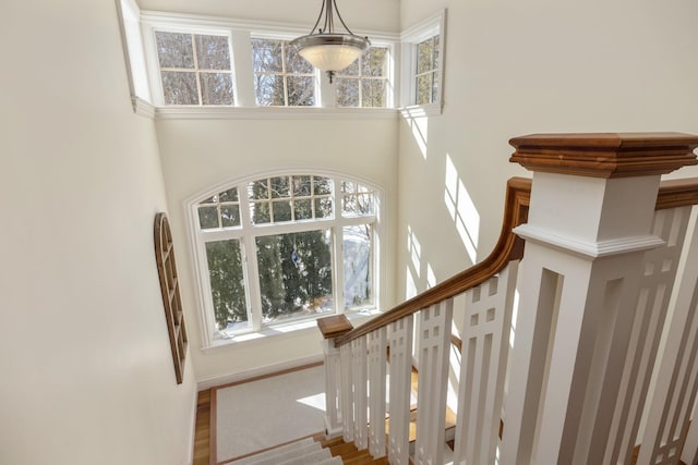 stairs with a towering ceiling and wood finished floors