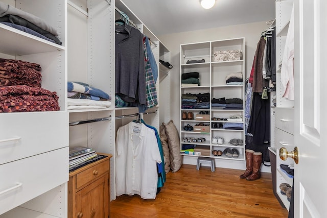 spacious closet with light wood-style flooring