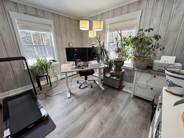 office space featuring ornamental molding, a wealth of natural light, baseboards, and wood finished floors