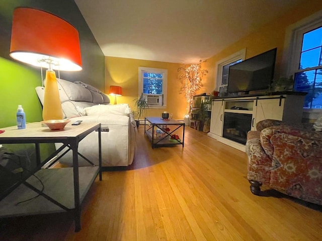 living room featuring wood finished floors and a glass covered fireplace