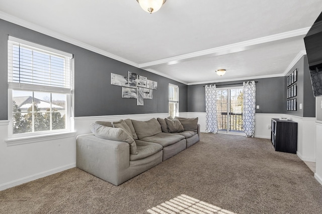 carpeted living room featuring ornamental molding and a wainscoted wall