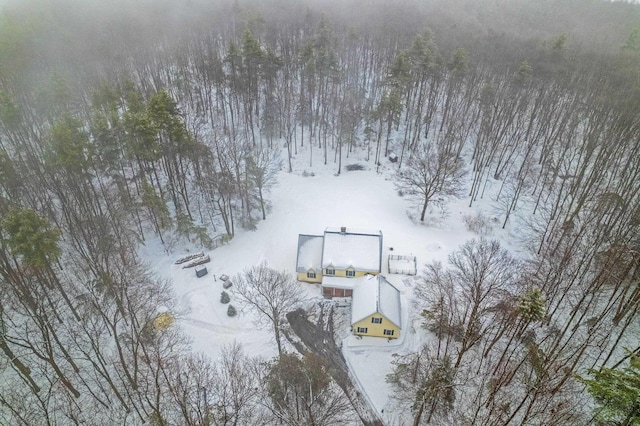 view of snowy aerial view