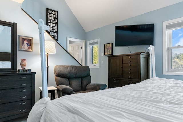 bedroom featuring lofted ceiling