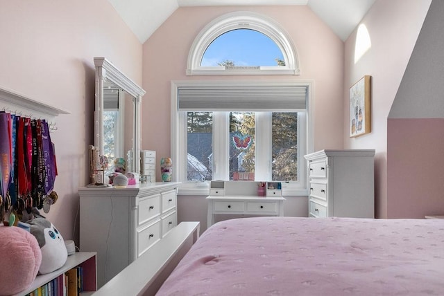 bedroom featuring vaulted ceiling and multiple windows