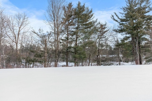 view of snowy yard