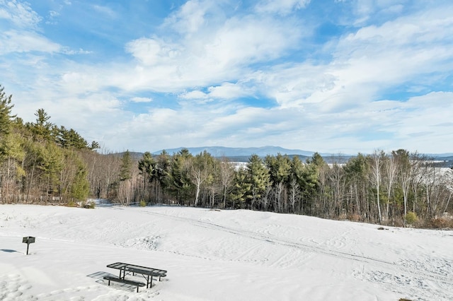 mountain view featuring a view of trees