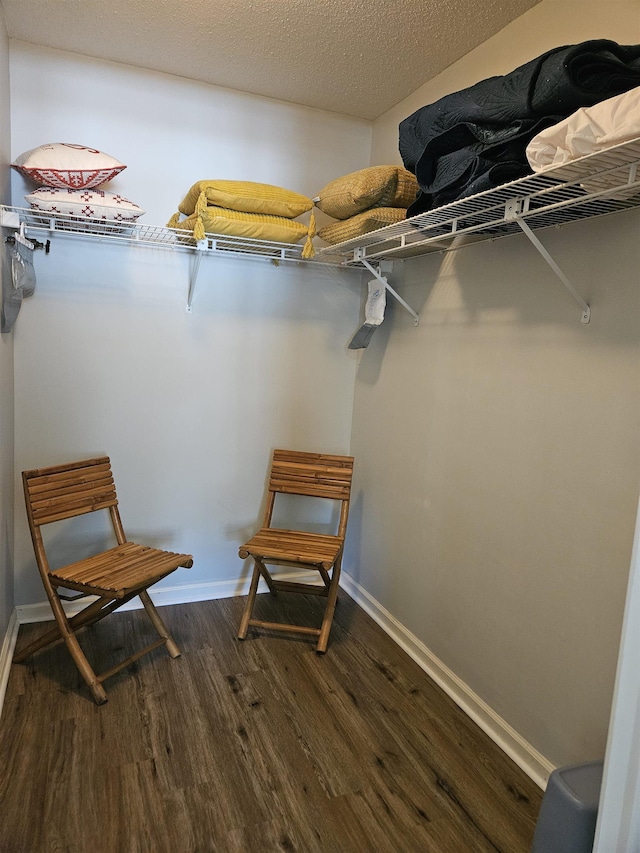 walk in closet with dark wood finished floors