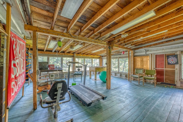 workout room with a healthy amount of sunlight and hardwood / wood-style flooring