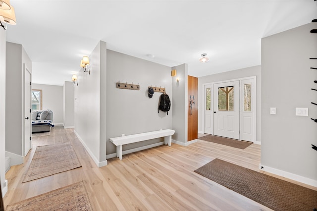 entrance foyer featuring plenty of natural light, baseboards, and wood finished floors