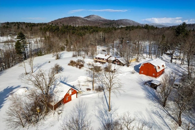 snowy aerial view featuring a mountain view and a forest view