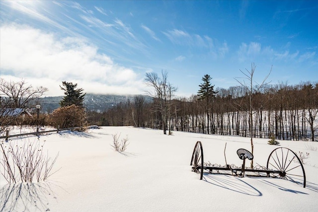 view of yard layered in snow