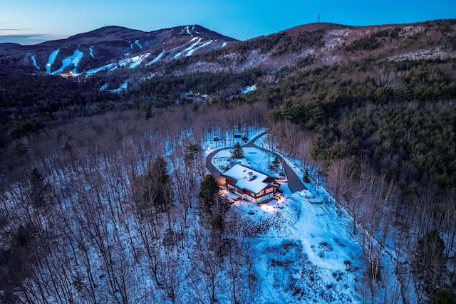 drone / aerial view with a mountain view