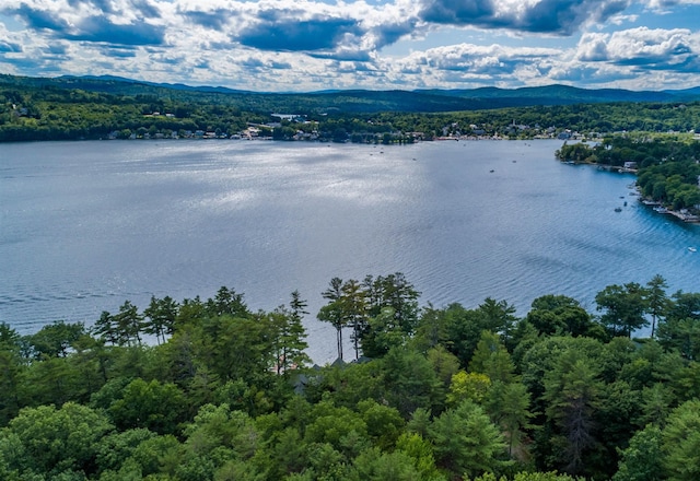 birds eye view of property featuring a water and mountain view and a wooded view