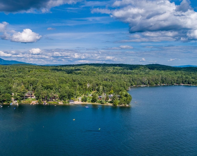 drone / aerial view with a water view and a wooded view