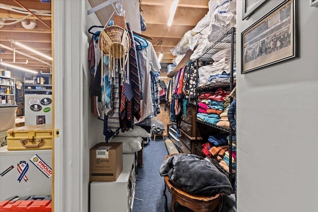 walk in closet featuring carpet flooring