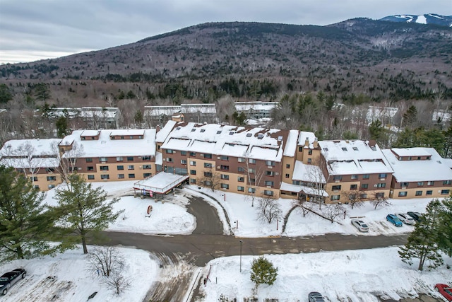 snowy aerial view featuring a mountain view