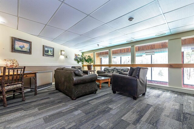 living area featuring carpet floors and a drop ceiling