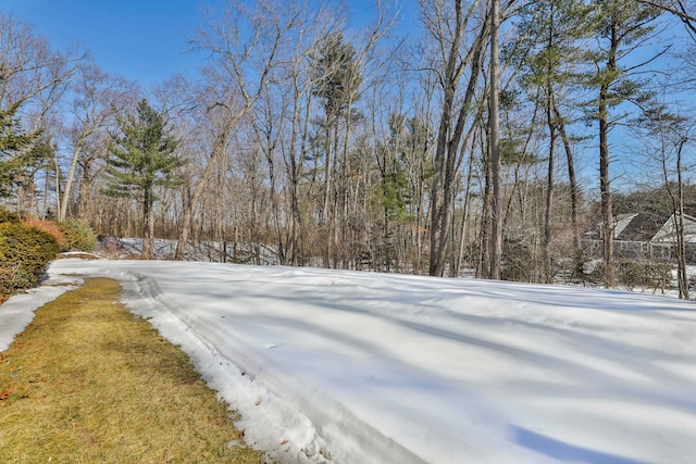 view of yard covered in snow