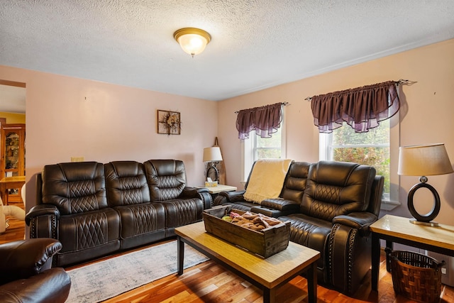 living area featuring a textured ceiling and wood finished floors