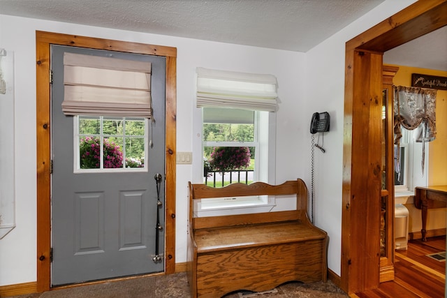 interior space with a textured ceiling, baseboards, and a healthy amount of sunlight