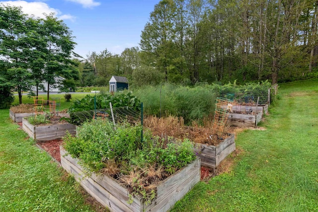 view of yard with a vegetable garden, an outdoor structure, and a storage unit