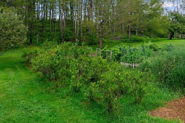 view of landscape