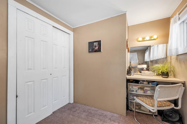 interior space with carpet floors and crown molding