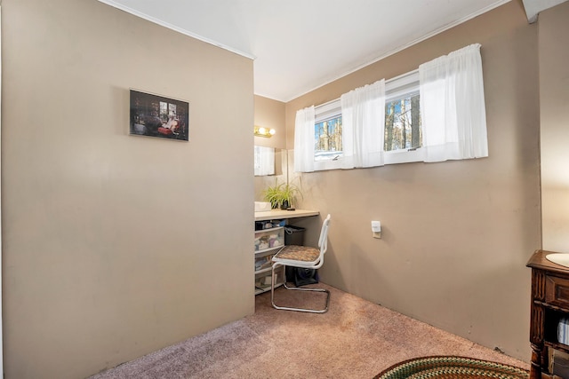 bathroom featuring ornamental molding and vanity