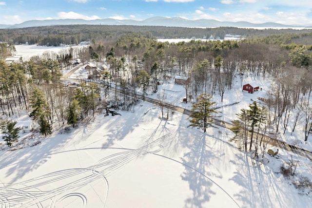 snowy aerial view featuring a mountain view and a forest view