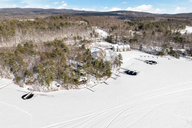 bird's eye view with a mountain view