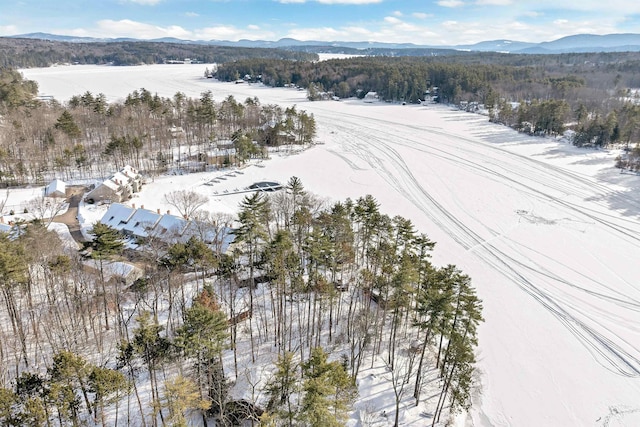 drone / aerial view featuring a wooded view and a mountain view