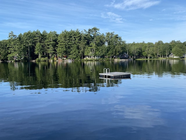 water view with a dock and a view of trees