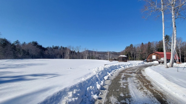 view of road with driveway and a forest view