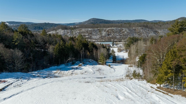 property view of mountains featuring a wooded view