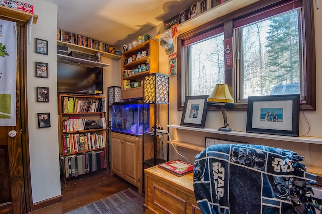 interior space featuring dark wood-style flooring