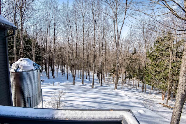 view of snowy yard