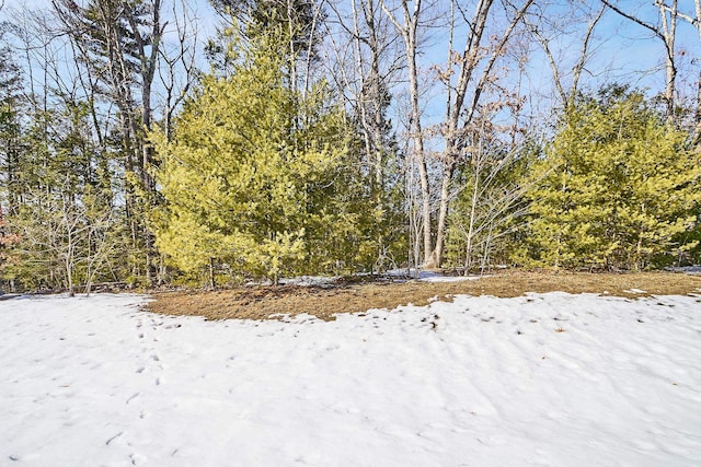 view of snowy yard