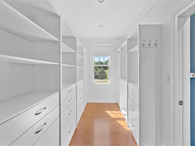 spacious closet featuring light wood finished floors