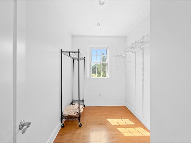 walk in closet featuring light wood finished floors