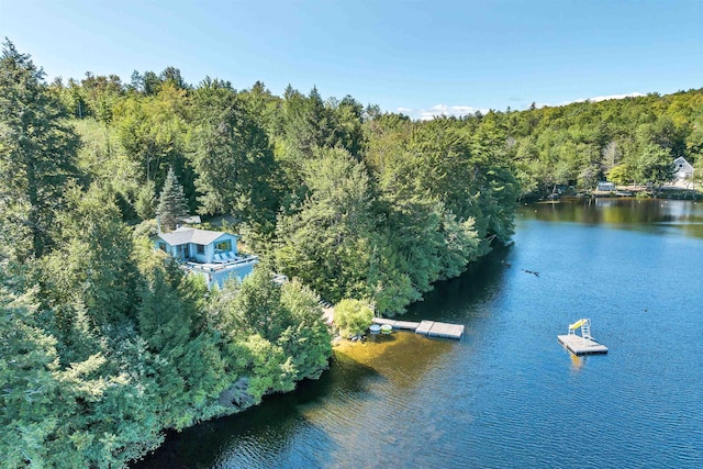 drone / aerial view featuring a water view and a wooded view