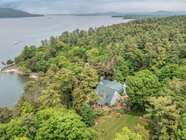 aerial view with a water view and a view of trees