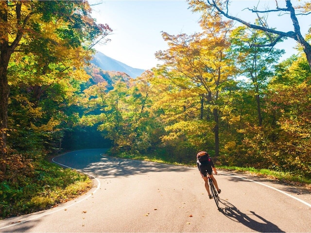 surrounding community with a wooded view