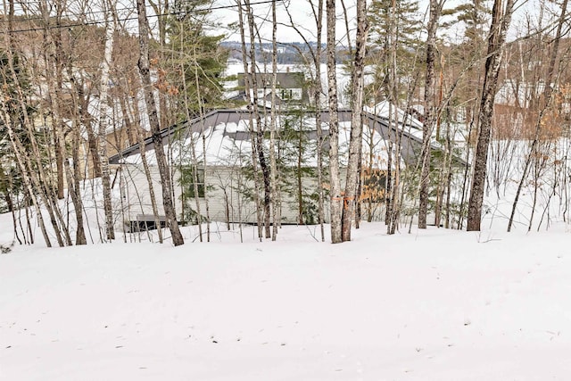 view of snowy yard