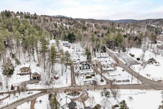 snowy aerial view with a mountain view and a view of trees