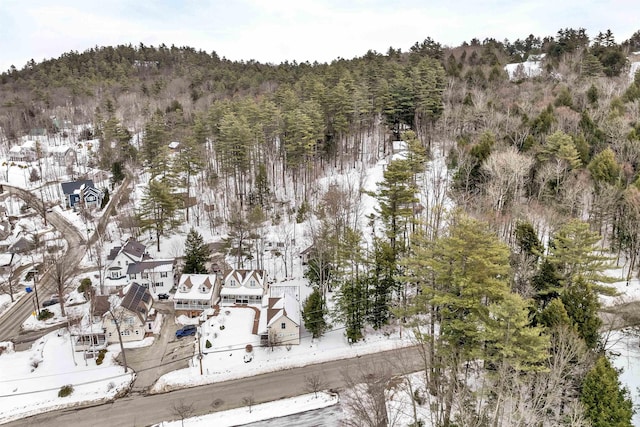 snowy aerial view featuring a wooded view