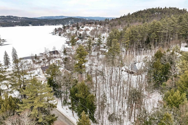 drone / aerial view featuring a wooded view and a mountain view